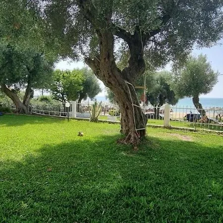 Apartment Eleni Seafront By Rentalspro Services-nea Moudania Halkidiki *